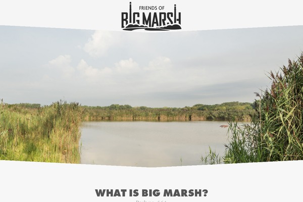 bigmarshchicago.com site used Oceanplaza_woo_v2.1