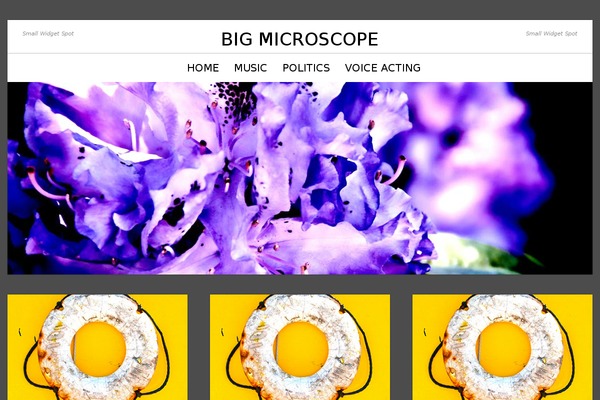 Soliloquy theme site design template sample
