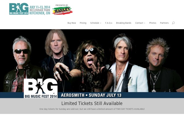 bigmusicfest.com site used Revelance