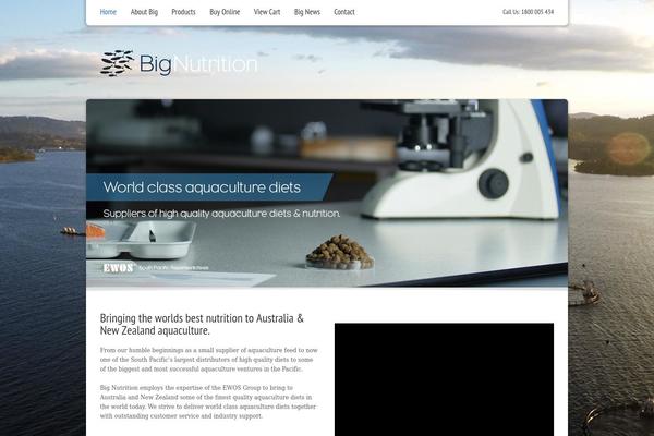 Arctica theme site design template sample