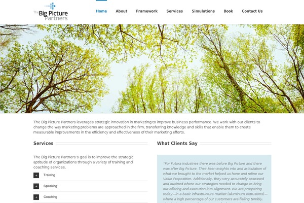 bigpictureonline.com site used Bigpicturepartners