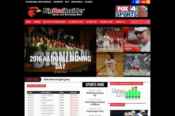 Hot Topix theme site design template sample