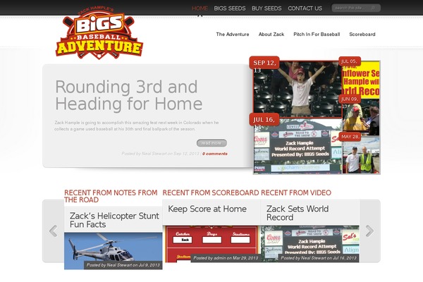 DelicateNews theme site design template sample