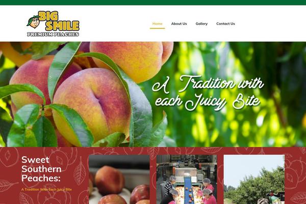 BeTheme Child theme site design template sample