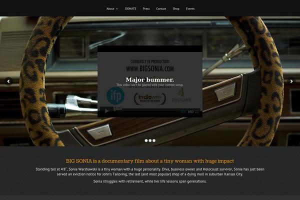 Divi Child theme site design template sample
