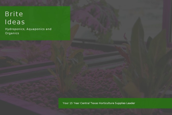 TheShop theme site design template sample