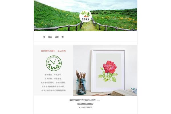 SociallyViral theme site design template sample