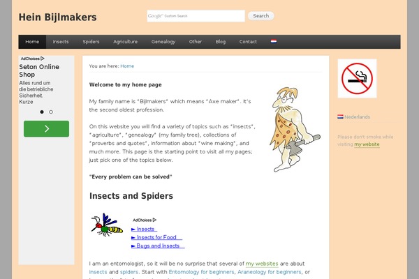 Site using Widget-options plugin