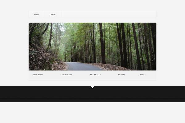 Pitch theme site design template sample