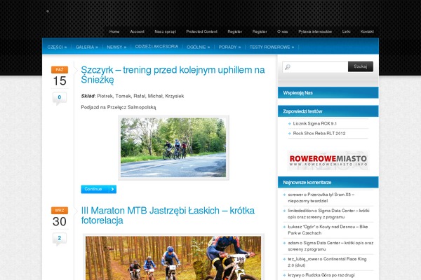 Colorbold theme site design template sample