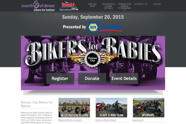 bikersForBabies theme websites examples