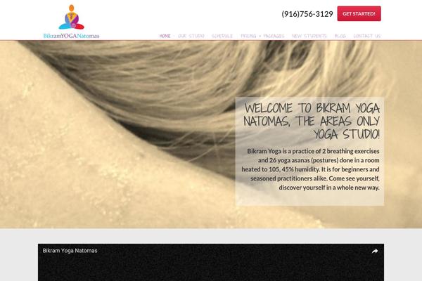 Parallax Pro theme site design template sample