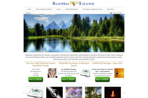 Storefront Elegance theme site design template sample