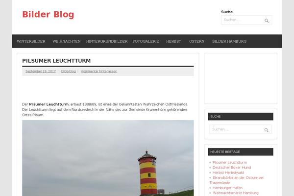 Dynamic News Lite theme site design template sample
