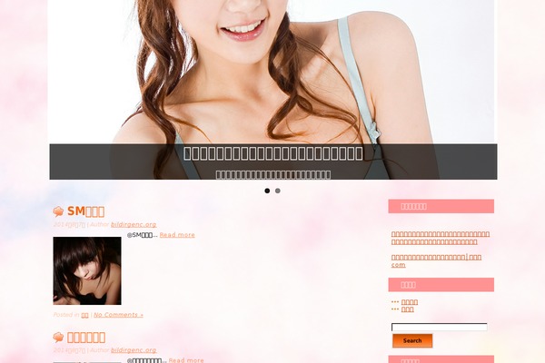 application theme site design template sample