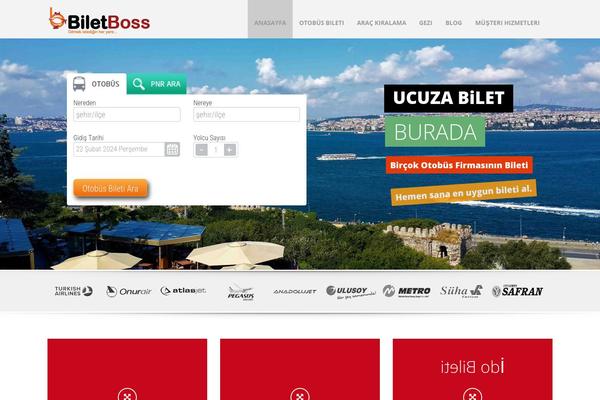 Site using All in One SEO Pack plugin