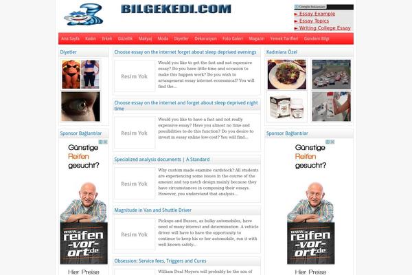 bilgekedi.com site used Wpt-life