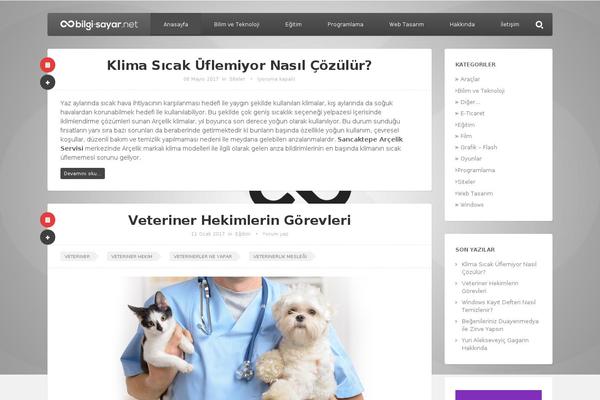 bilgi-sayar.net site used Bilgisayarnet