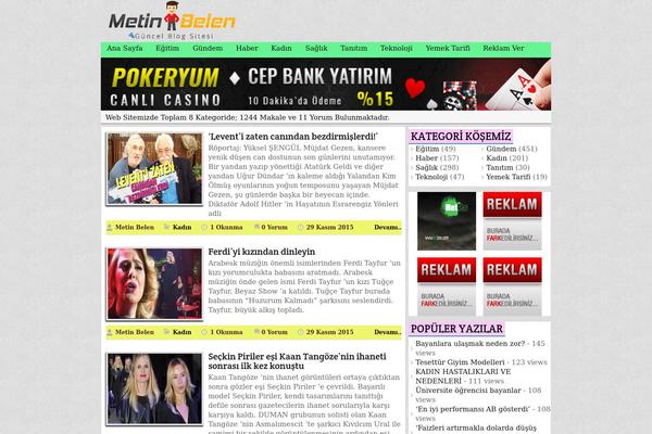 Mts_sense theme site design template sample