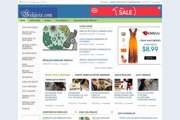 Forester theme site design template sample