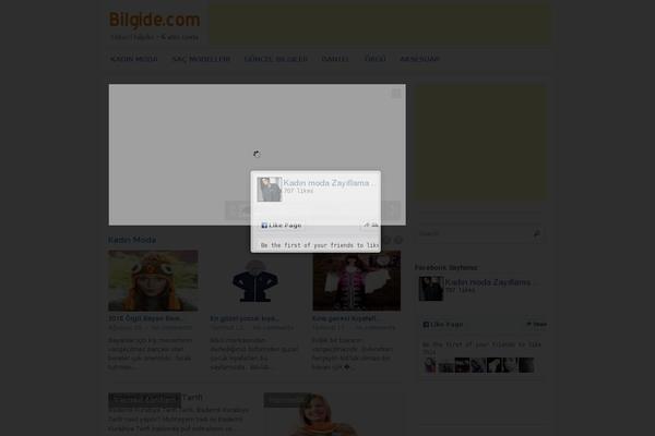 Site using SEO Auto Links & Related Posts plugin