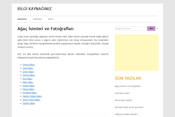 Tiny Forge theme site design template sample
