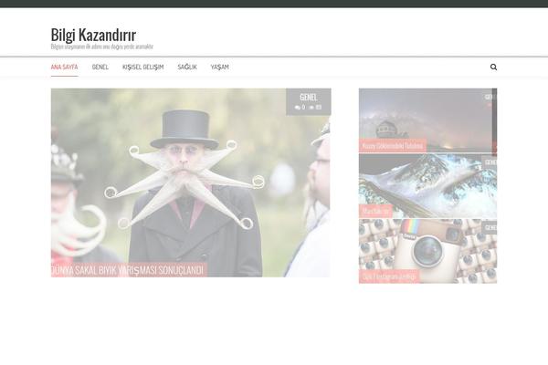 AccessPress Mag theme site design template sample