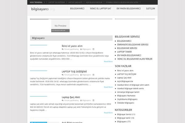 Mts_point_pro theme site design template sample