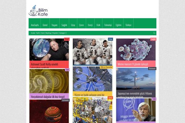 FlyingNews theme site design template sample