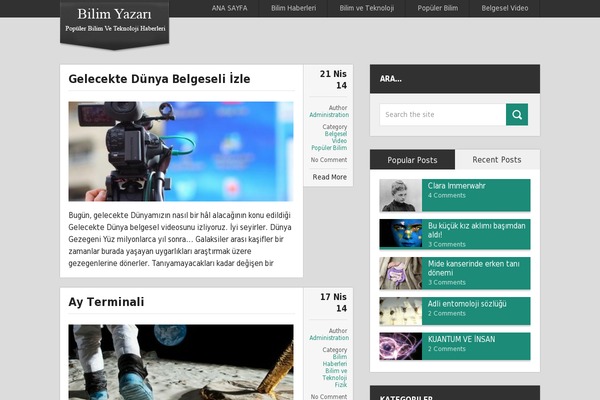 Magnificent theme site design template sample