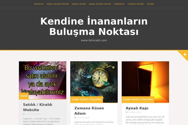 Alizee theme site design template sample