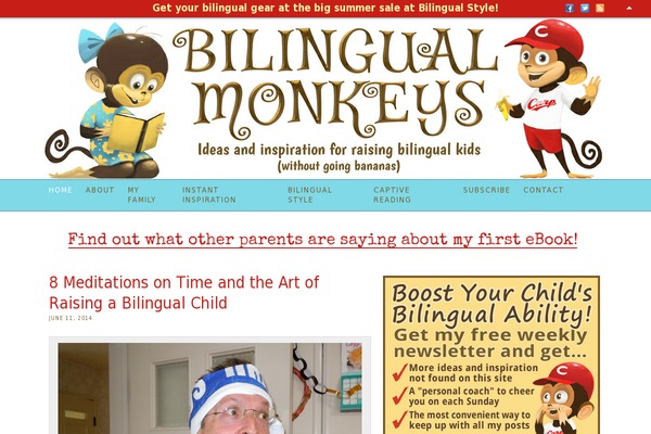 Site using Special Text Boxes plugin