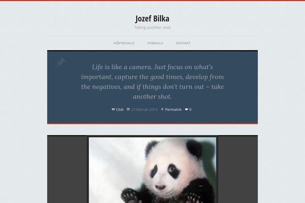 Socially Awkward theme site design template sample