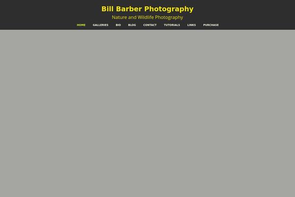 Site using Facebook Like Box plugin