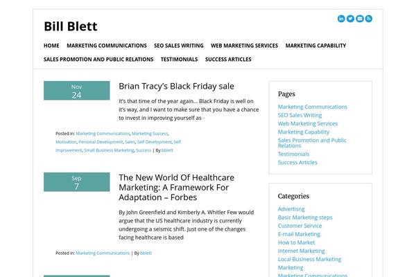 Simple Business WP theme site design template sample