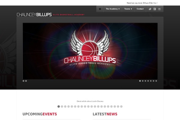 Site using ACF Recent Posts Widget plugin