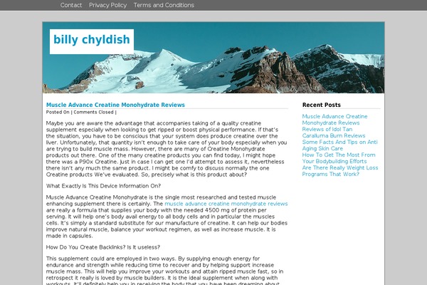 billychyldish.com site used Silver Quantum