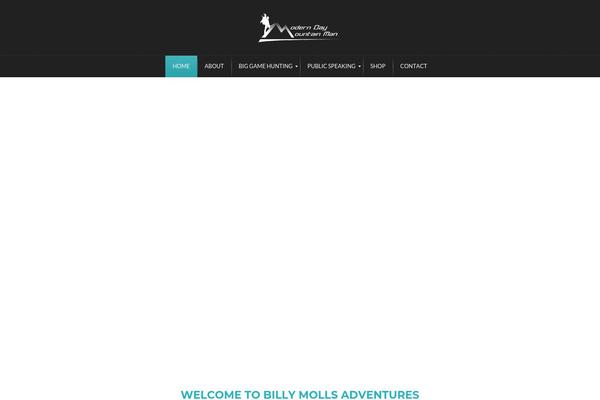 Voisen theme site design template sample