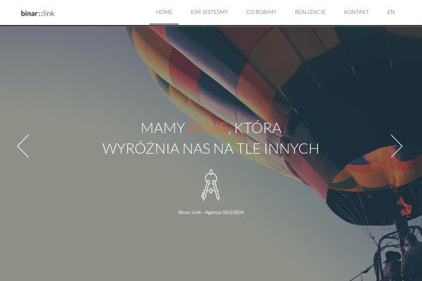 binar theme websites examples