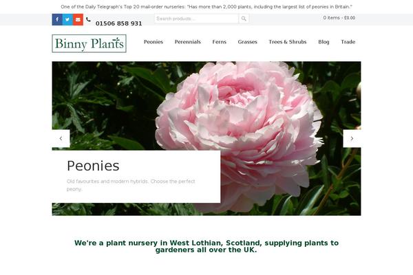 Site using U-design-woocommerce plugin