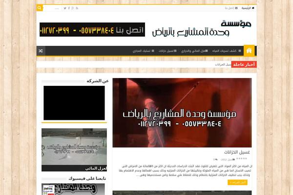 Sahifa theme site design template sample