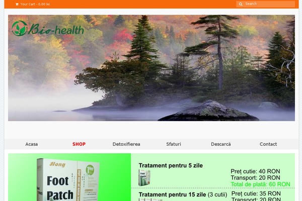 Virtue theme site design template sample