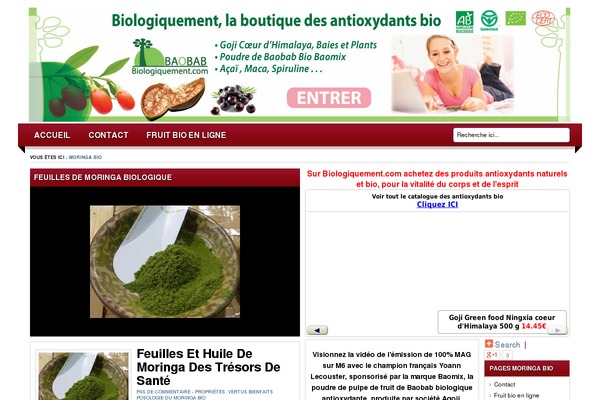 Lugada theme site design template sample