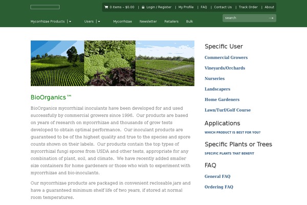 Sommerce theme site design template sample