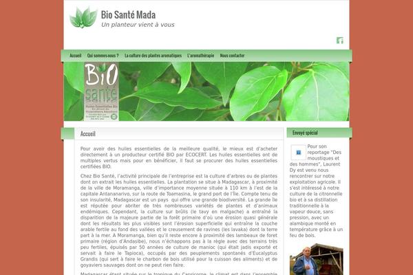 BlogoLife theme site design template sample