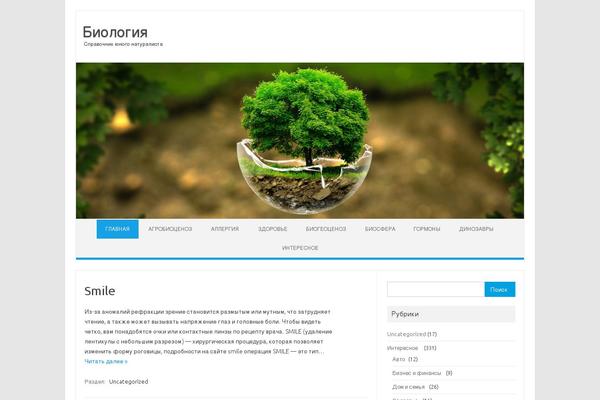 Iconic One theme site design template sample