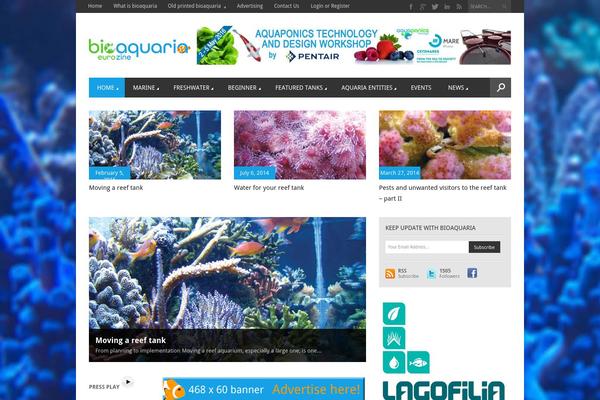 Magazon Wp theme site design template sample