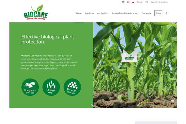 Boldy theme site design template sample