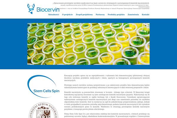 Promotion theme site design template sample