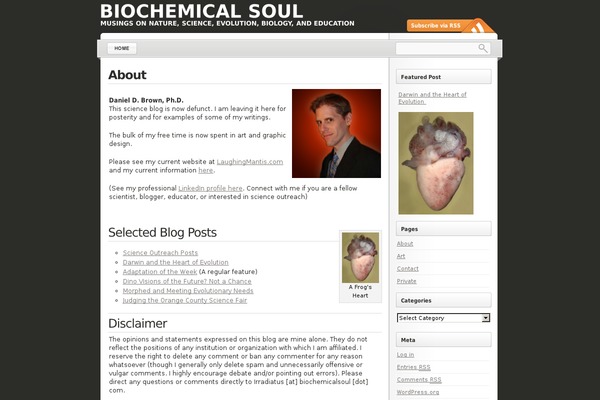 LightWord theme site design template sample